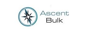 ASCENT BULK 로고